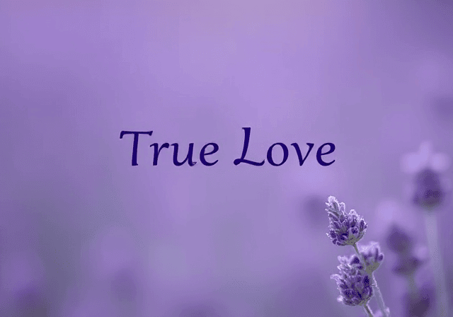 True Love - Creative Ayeesha