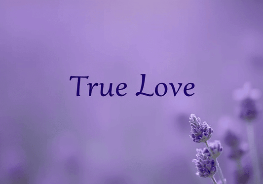 True Love - Creative Ayeesha